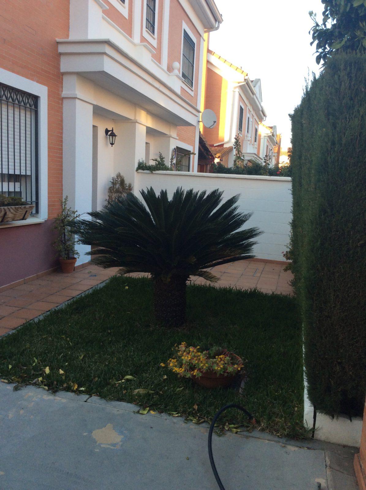 residencial-montequinto-sevilla-antes-01